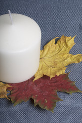 Similar image 16334908