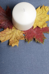 Similar image 16334983