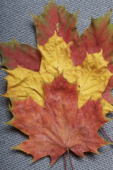 Similar image 16335064