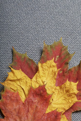 Similar image 16335403