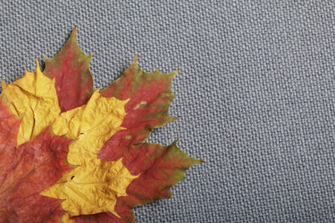 Similar image 16336730