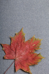 Similar image 16337396