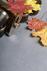 Similar image 16337493