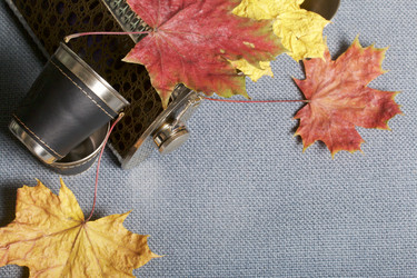 Similar image 16337582