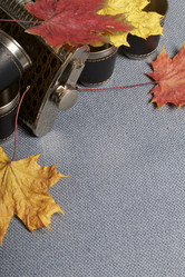 Similar image 16337678