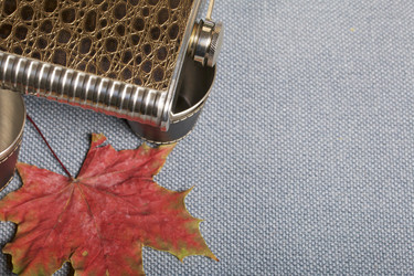 Similar image 16338166