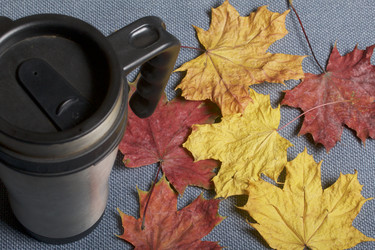 Similar image 16338194