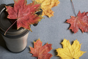 Similar image 16338200