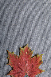 Similar image 16338203