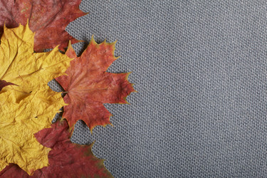 Similar image 16338279