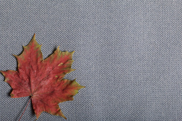 Similar image 16338706