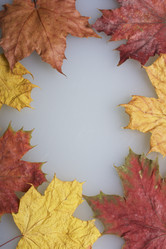 Similar image 16339061