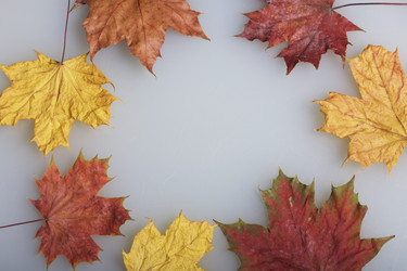 Similar image 16339143