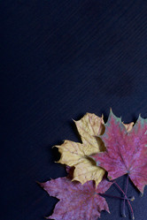 Similar image 16339929