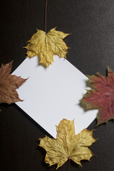 Similar image 16339949