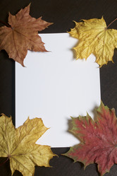 Similar image 16340400