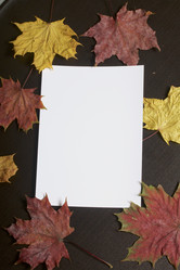 Similar image 16340600