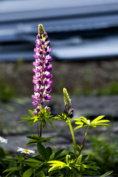 Similar image 15919081