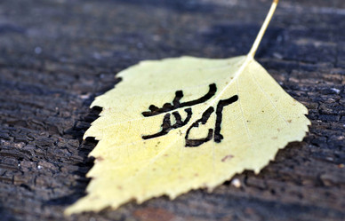 Similar image 15918989