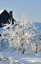 Similar image 15919008