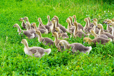 Similar image 16220884