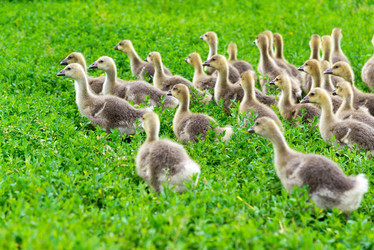 Similar image 16220885