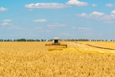 Similar image 16220889