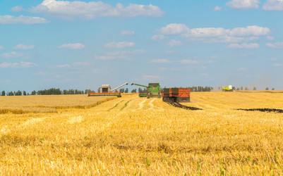 Similar image 16220905