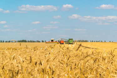 Similar image 16220923