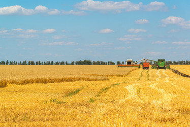 Similar image 16220851