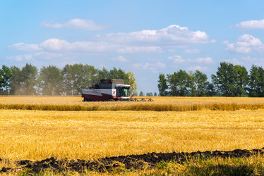 Similar image 16220868