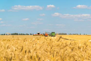 Similar image 16220870