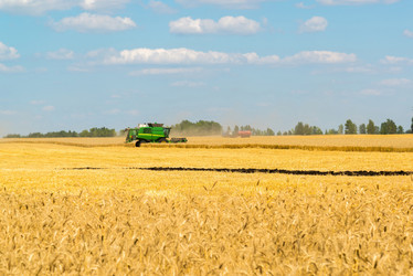 Similar image 16220871