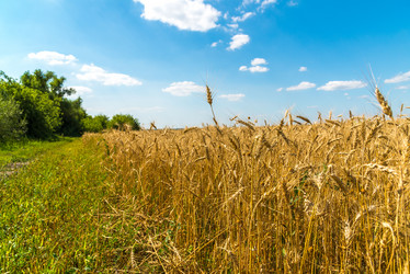 Similar image 16220874