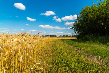 Similar image 16220879