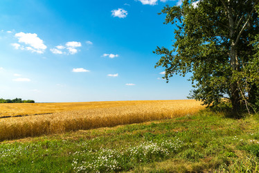 Similar image 16220881