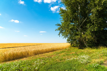 Similar image 16220892