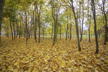 Similar image 16334574