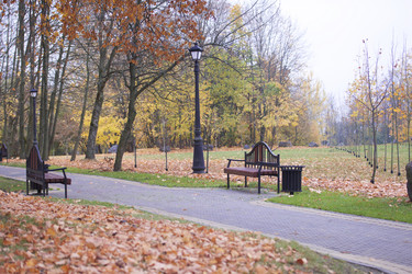 Similar image 16334884