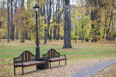 Similar image 16335085