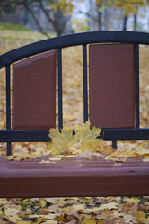 Similar image 16335179