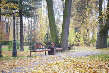 Similar image 16336808