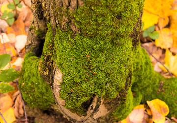 Similar image 15927761