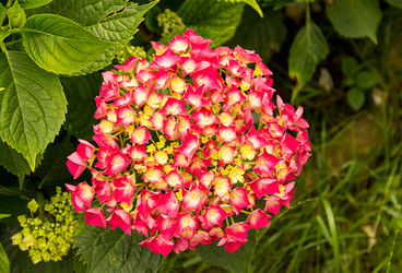 Similar image 15927923