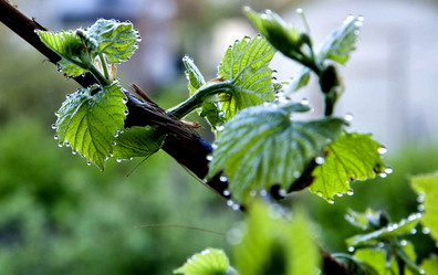 Similar image 15919011