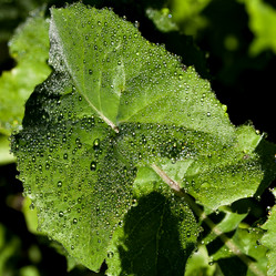 Similar image 15919037