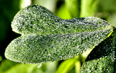 Similar image 15919048