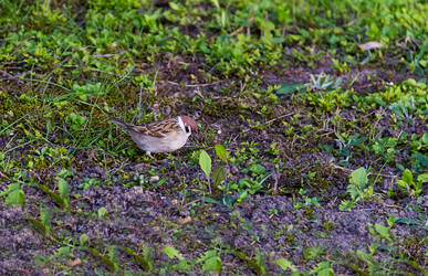 Similar image 15927846