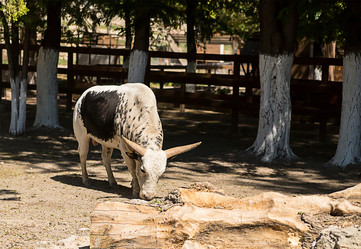 Similar image 15927847