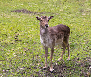 Similar image 15927880